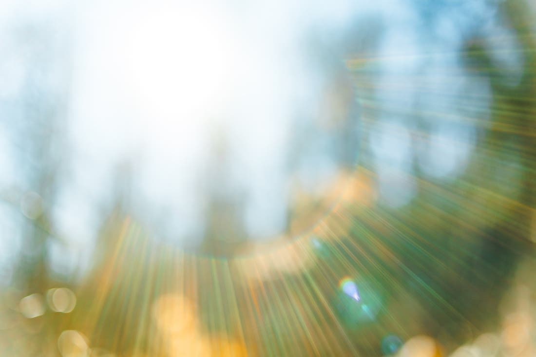 Blurred background with sun rays in the forest